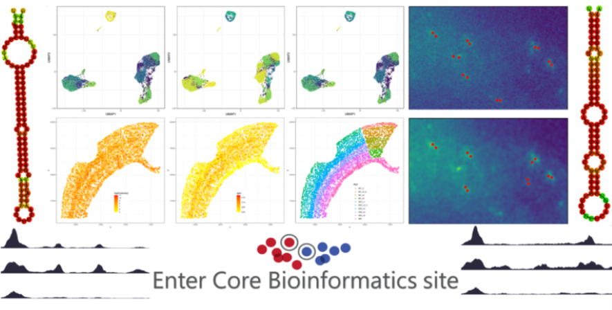 Core Bioinformatics Group
